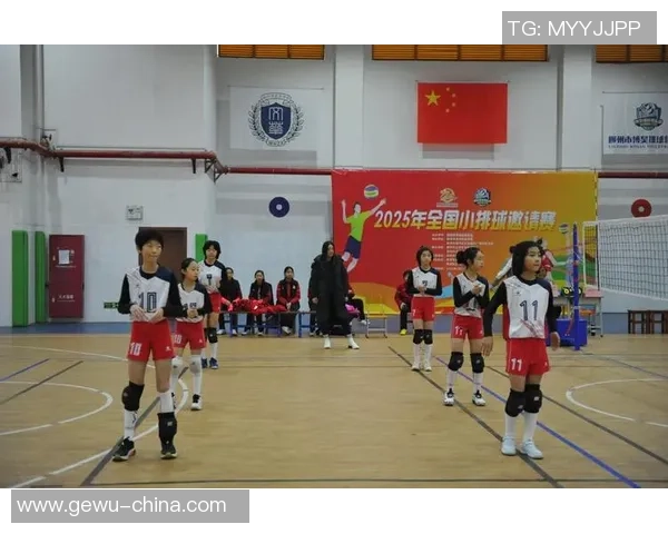 深圳排球队的精神之旅:探索排球背后的团队意识与文化传承