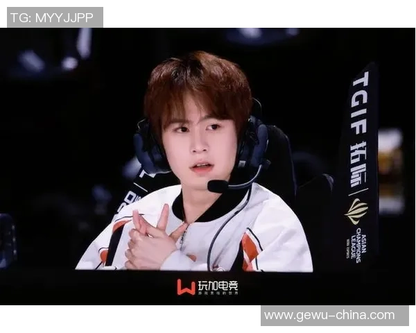 王者荣耀专题深入分析JDG战队默契配合与战术执行的成功之道